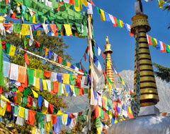 dharamshala sightseeing tours